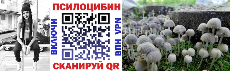 Псилоцибиновые грибы Magic Shrooms  Купить закладки  Пересвет 